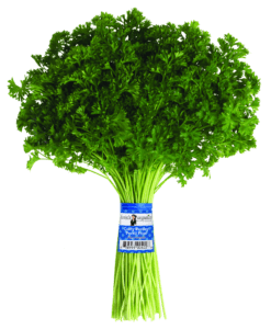 Parsley